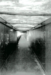Corridor in green Light