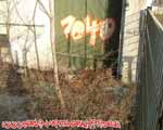 1040 (MITTE)