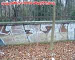 137 (FRIEDRICHSHAIN)