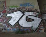 1G