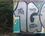 1G
