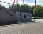 1G