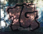 1G