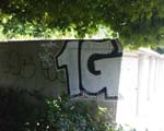 1G