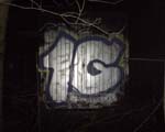 1G