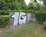1G