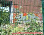 1UP (FRIEDRICHSHAIN)