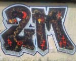 2M