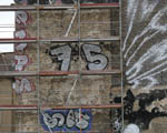 75