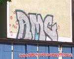 AMC