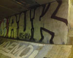 AUK