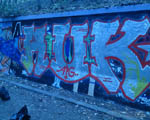 AUK