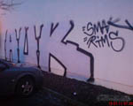 AUK