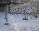 AUK