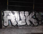 AUK