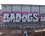 BAD