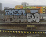 BAD