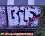 BIF