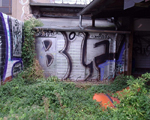 BIF