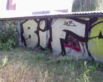 BIF