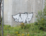 BMP
