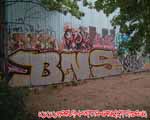 BNS 