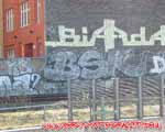 BSK (TIERGARTEN)