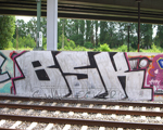 BSK
