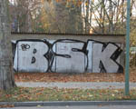 BSK