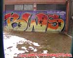 BWS
