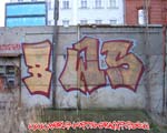 BWS