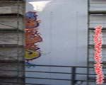 BWS