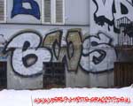 BWS