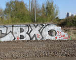 BXO