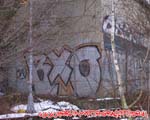BXO