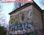 BXO