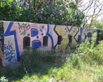 BXO