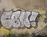 CBN