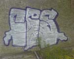 FB/CES