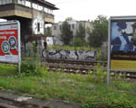 CNF