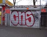 CNS