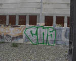 CNS