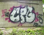 CPG