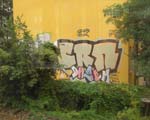 CRN