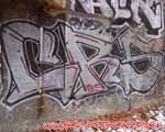 CRS