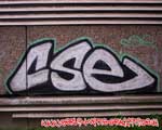 CSE