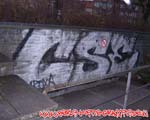 CSE