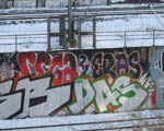 DAS