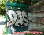 DAS