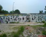 DCK